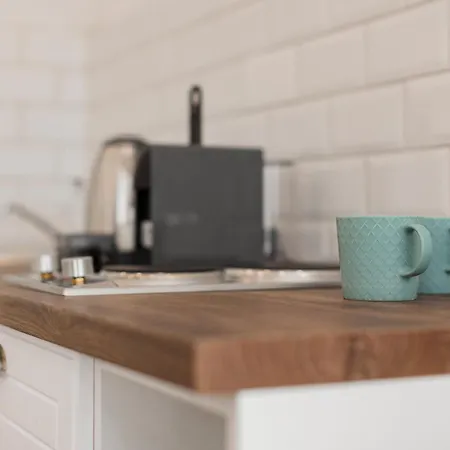 Garden View * ティミショアラ