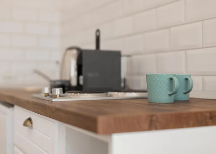 Garden View * Timişoara